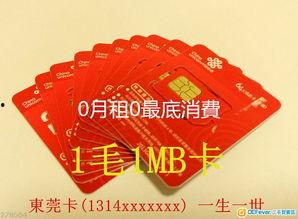 国产免费毛卡片,揭秘国内创意无限的艺术新潮流